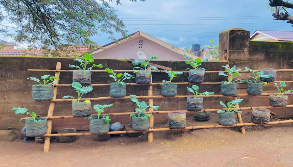 The Green Wall Garden initiative by In Need Home & Ecotide Foundation